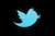 twitter logo